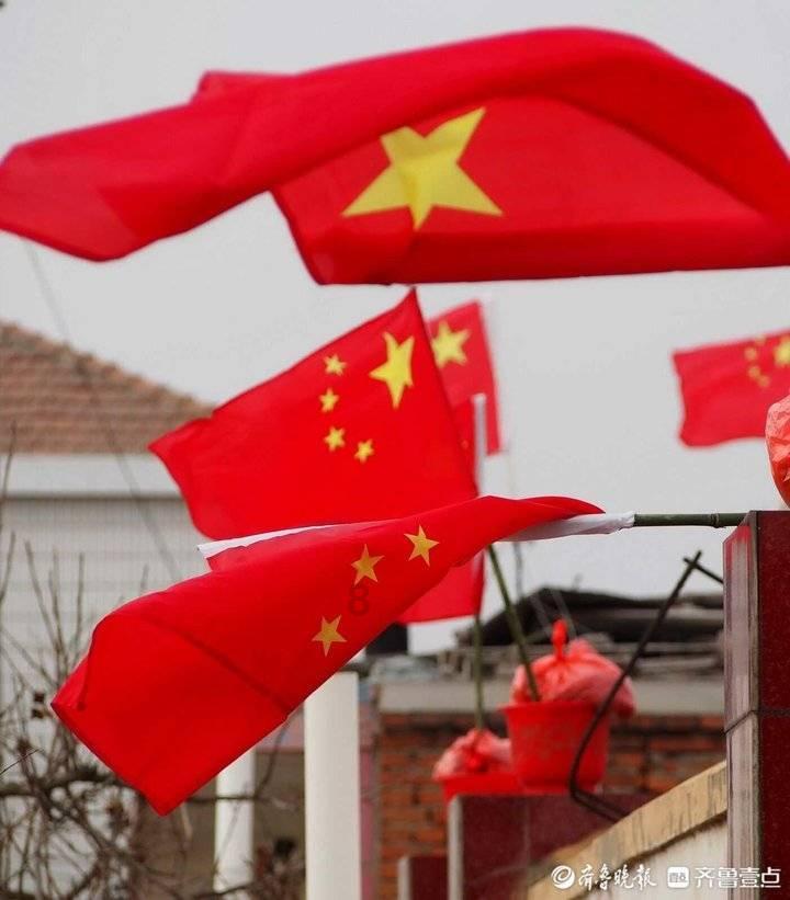 拯救小萌虎