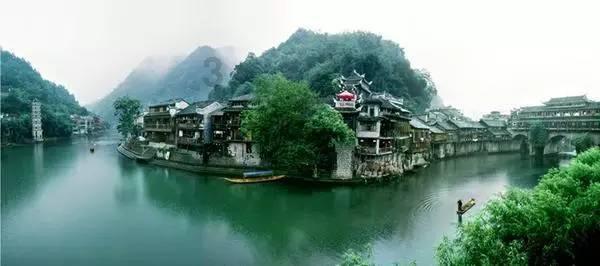 胖小猫救援